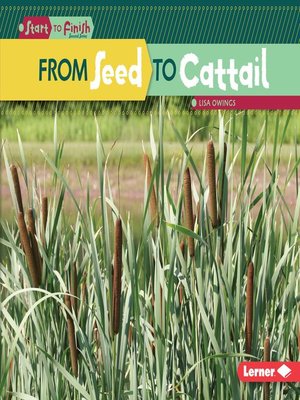 cover image of From Seed to Cattail